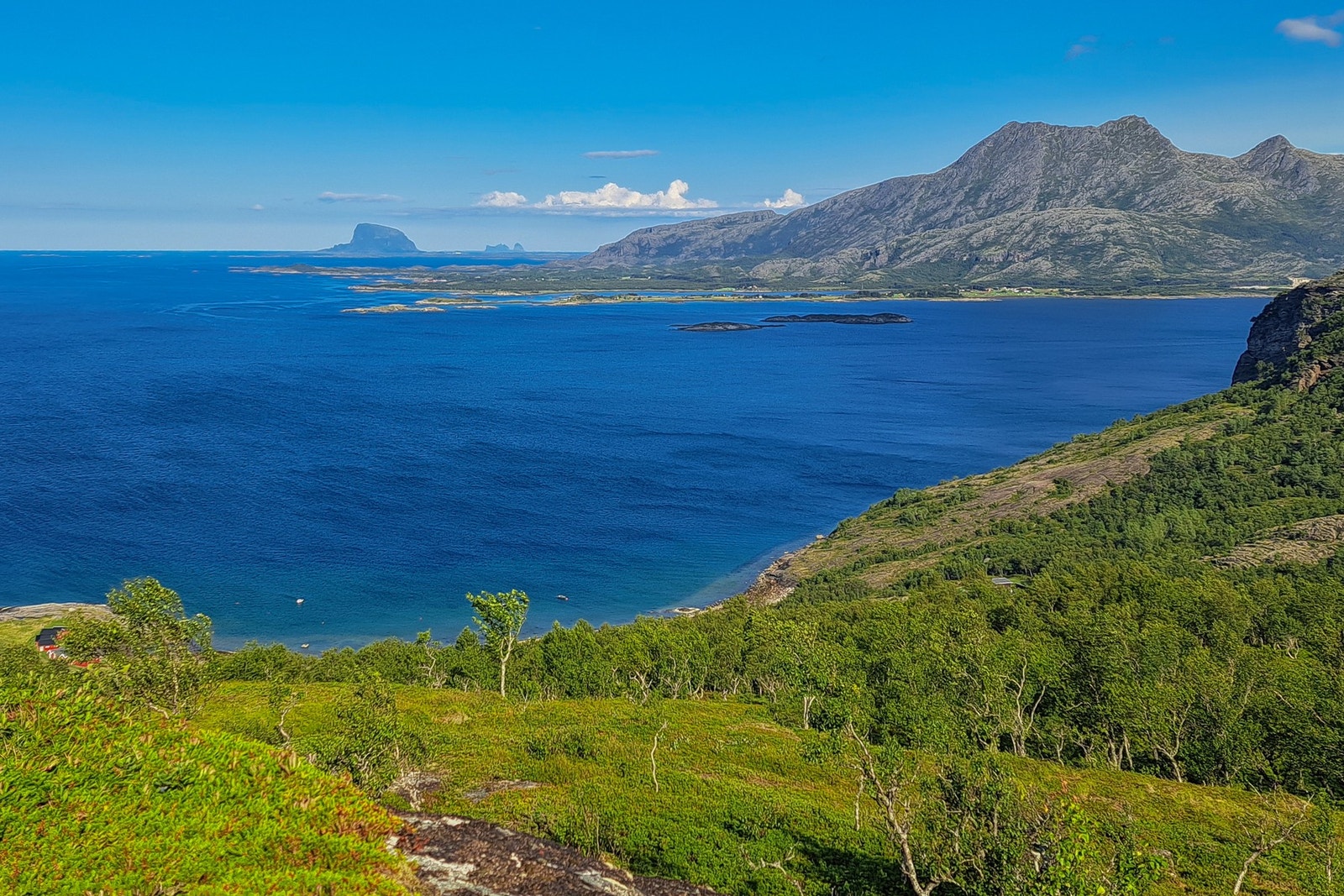 Foto: Selger Galleribilde