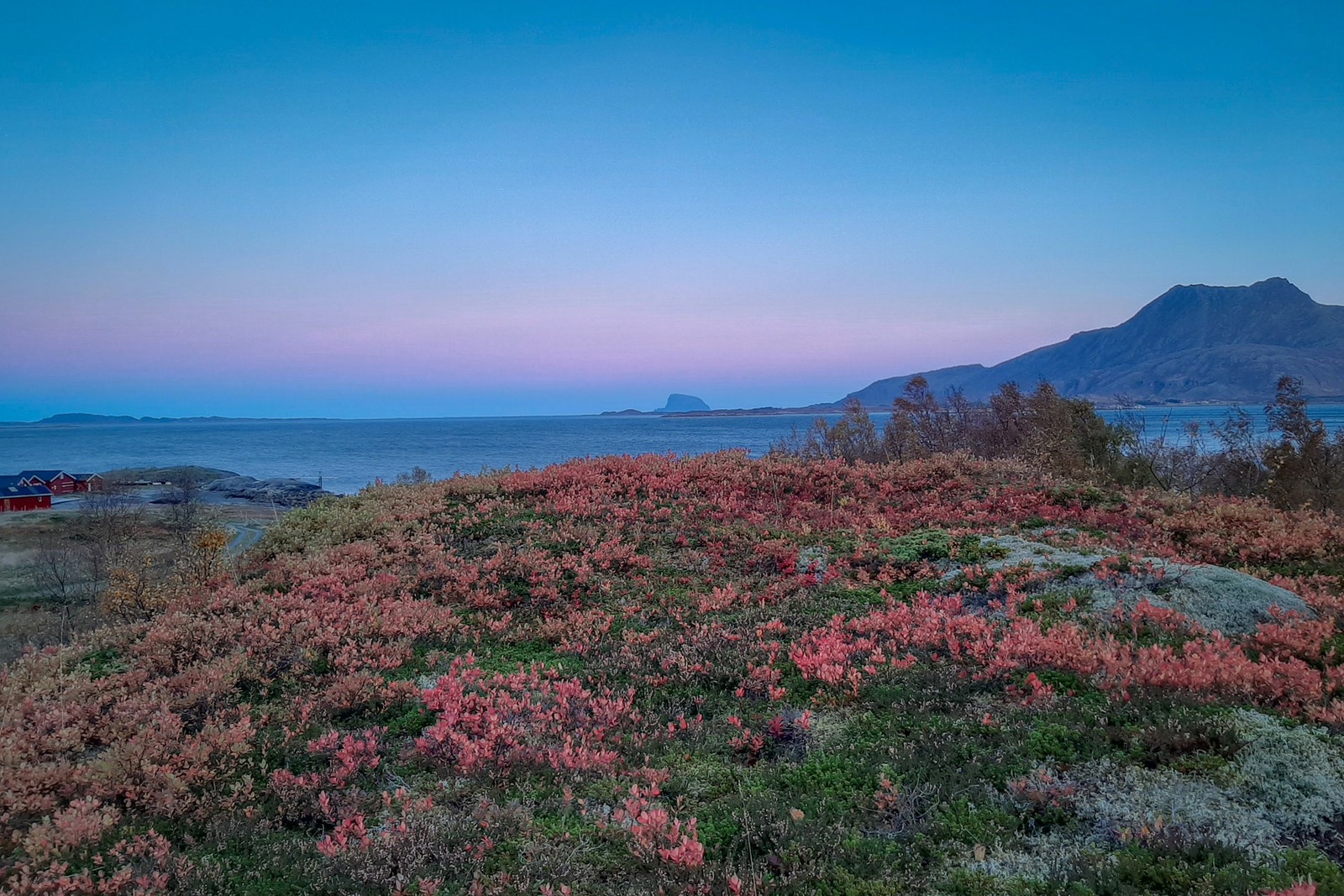 Foto: Selger Galleribilde
