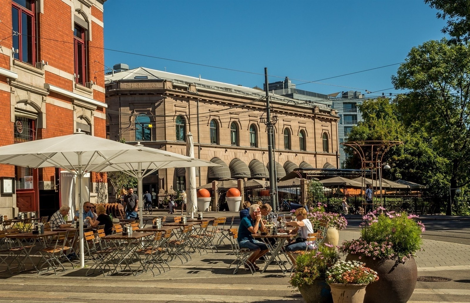 Nærområdet. Galleribilde