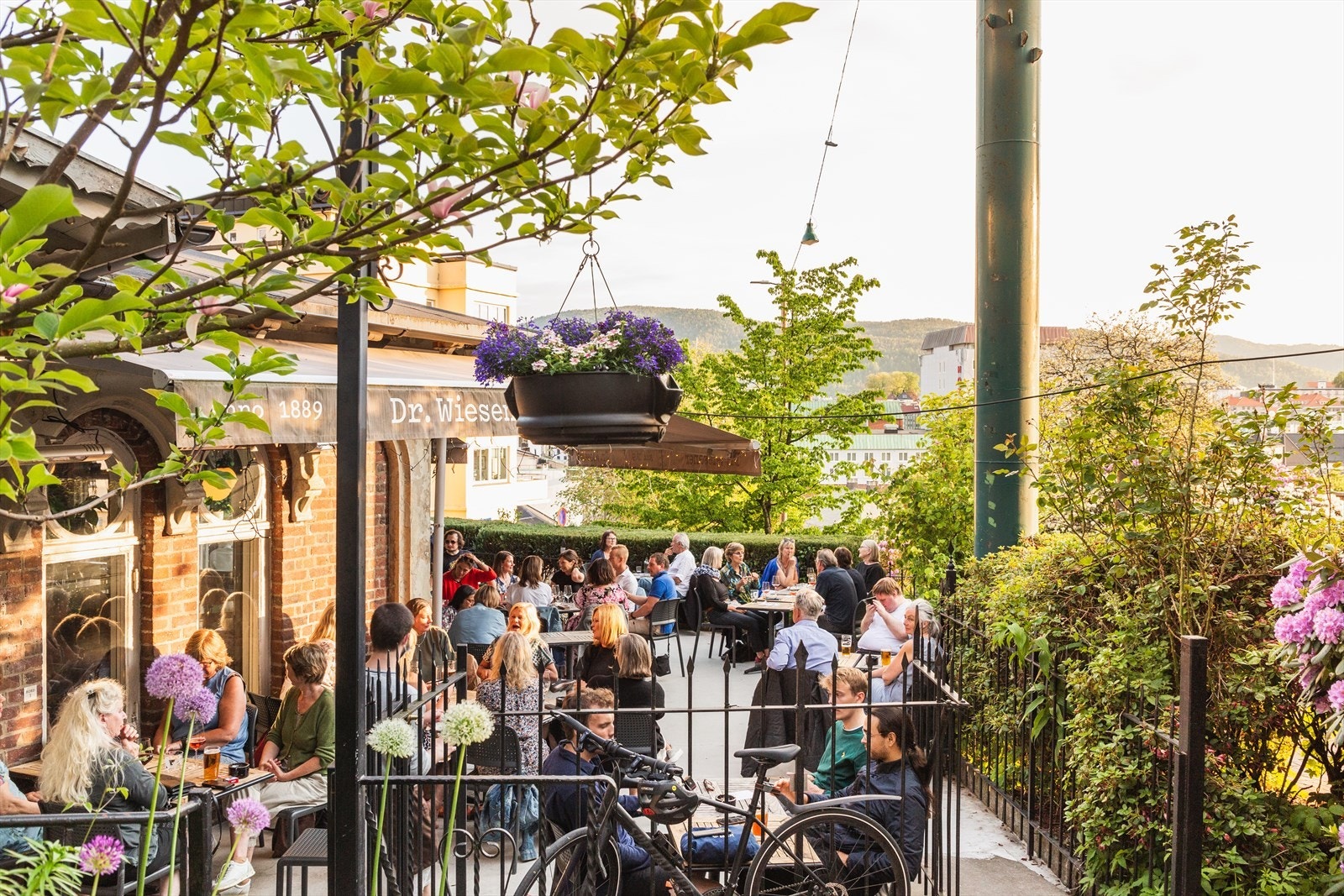 Rett i nærheten finner man populære Dr. Wiesener - en hyggelig og uformell nabolagspub i Sandviken, kjent for god stemning, matservering og et levende lokalmiljø. Galleribilde