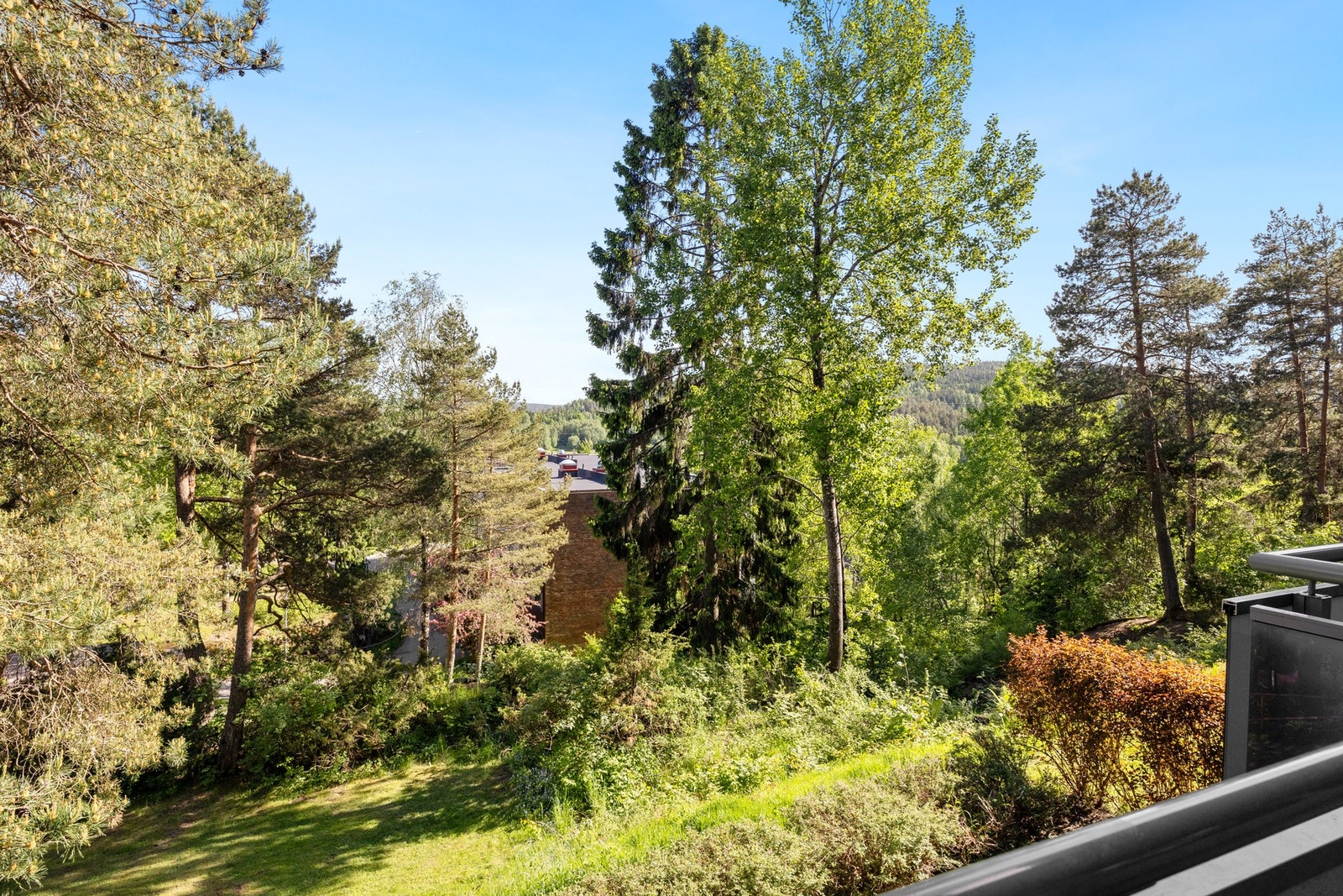 Utsyn mot grønne og rolig fellesområder. Galleribilde