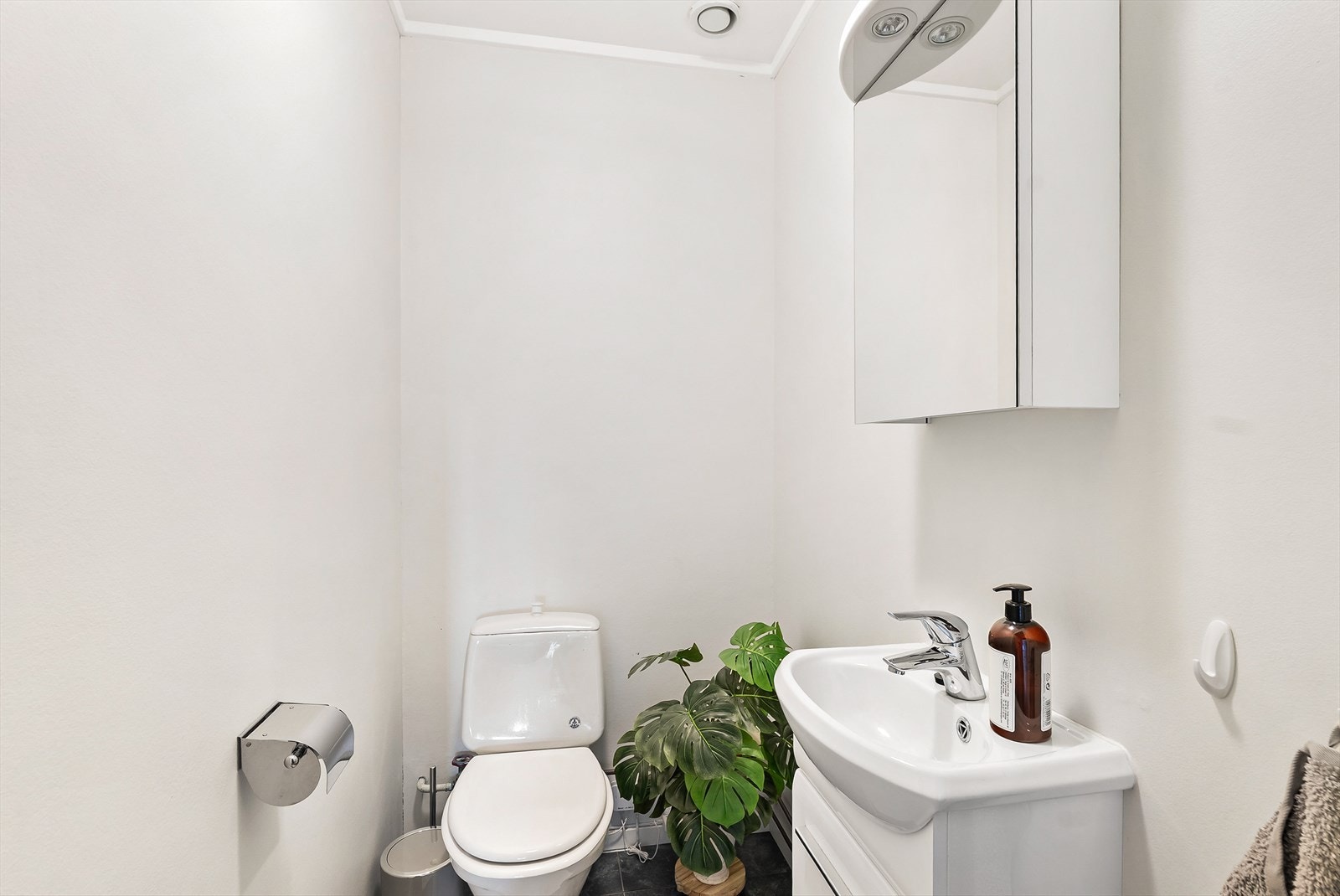 Wc-rom Galleribilde