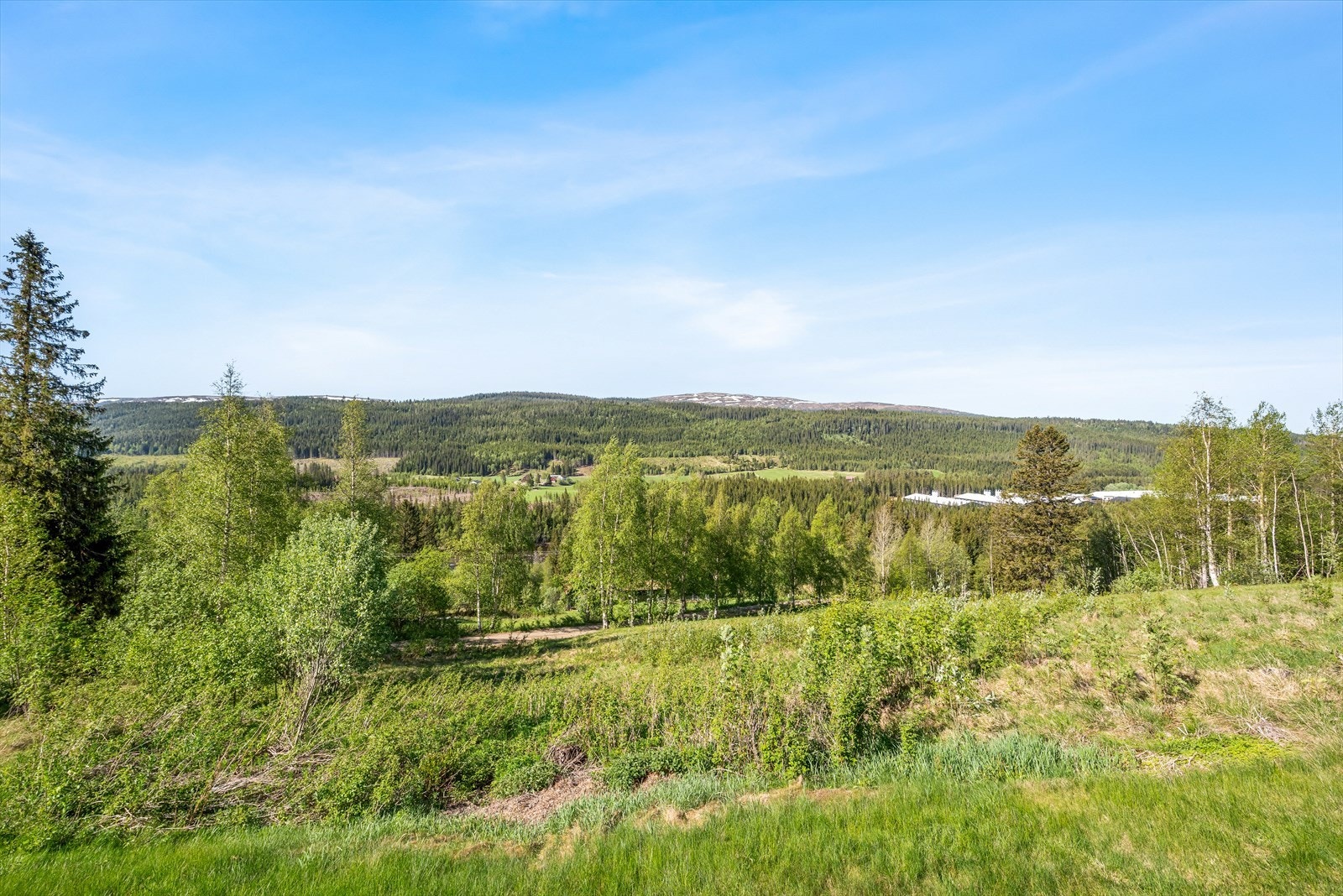 God utsikt over fin natur Galleribilde