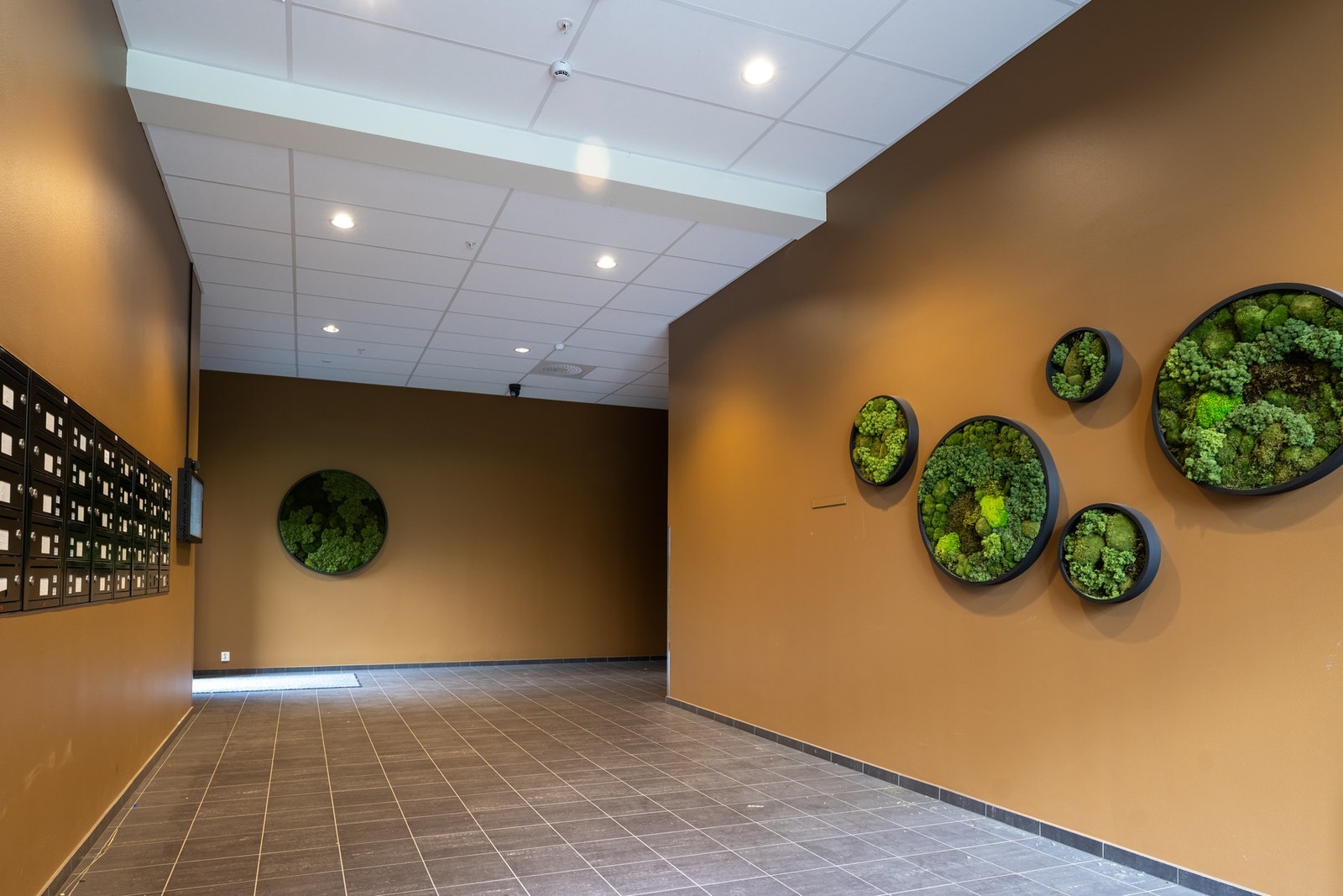 Hyggelig inngangsparti. Galleribilde