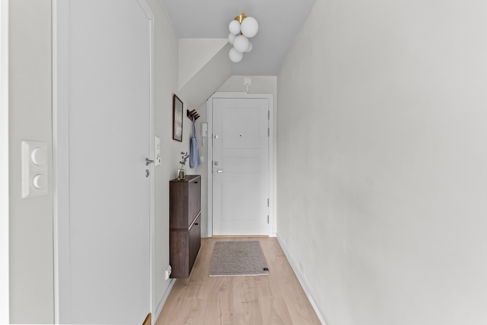 Praktisk entré med veggmontert skoskap og knagger for enkel oppbevaring. Galleribilde