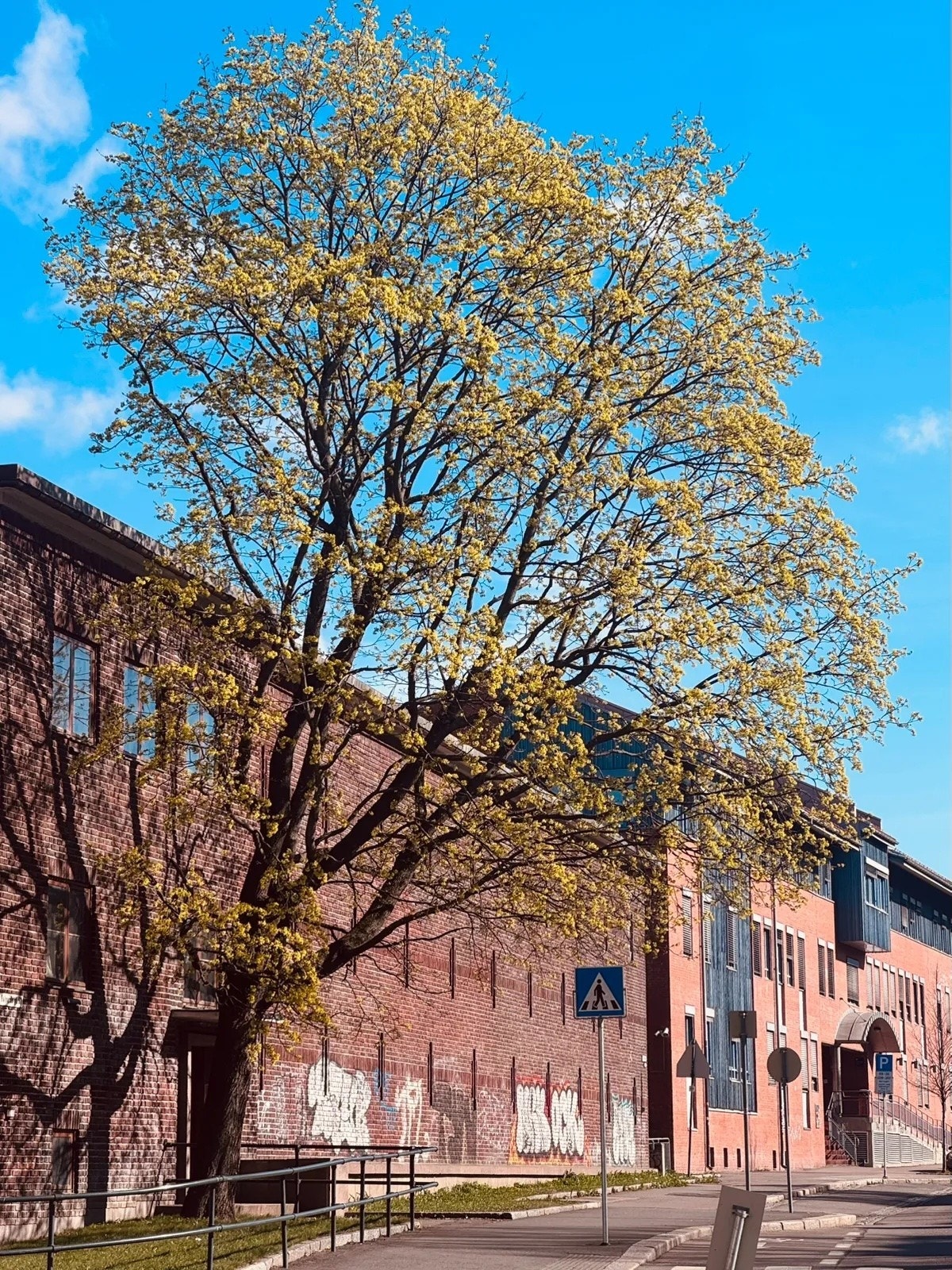 Fasade Galleribilde
