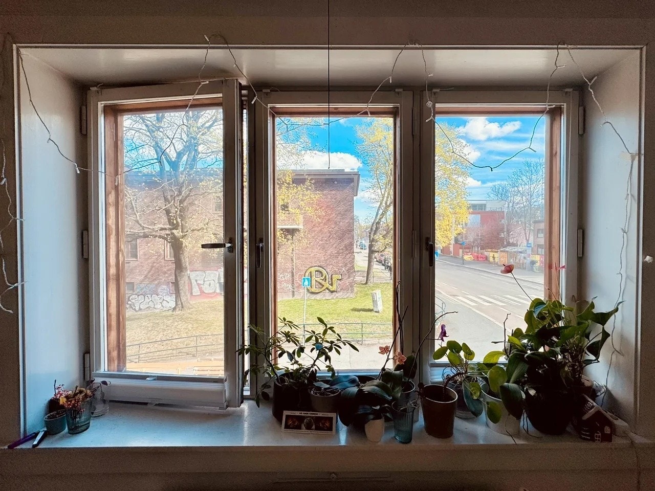 Store vinduer som slipper inn naturlig lys. Galleribilde