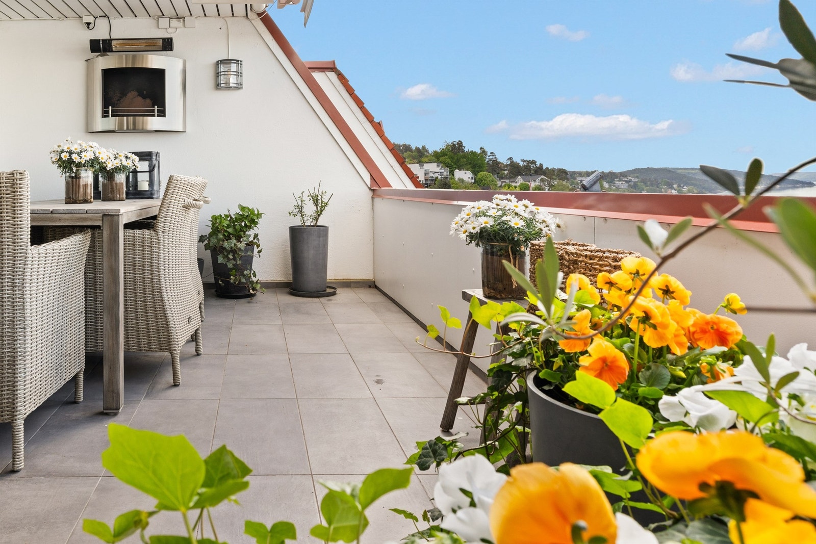 Frodig på terrassen. Galleribilde