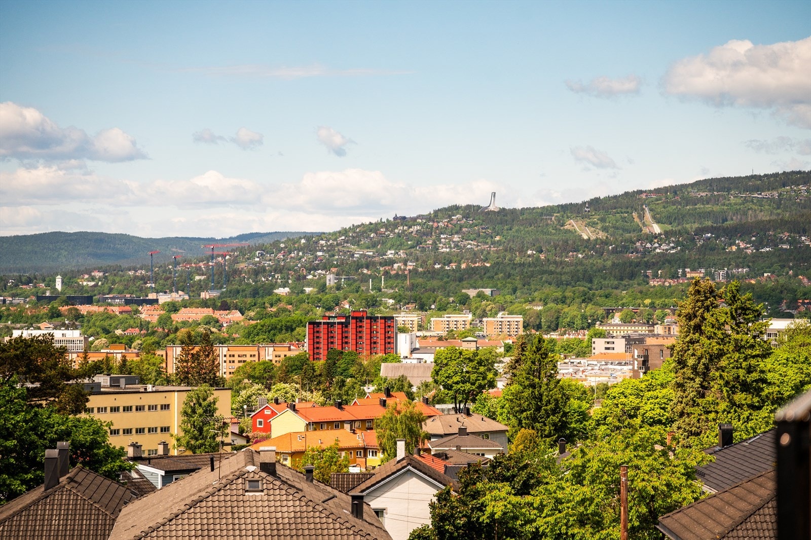 Utsikt mot Holmenkollen og de grønne åsene rundt Oslo. Galleribilde