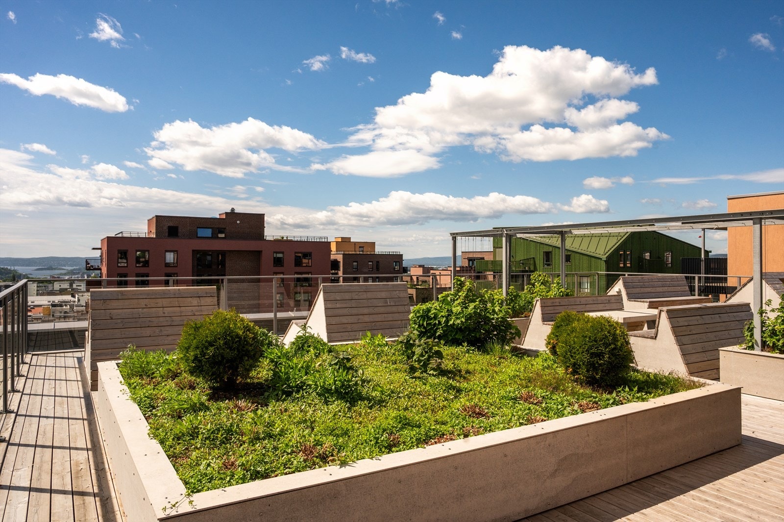 Felles takterrasse i nabobygg med grønne plantekasser og utsikt over byen. Galleribilde