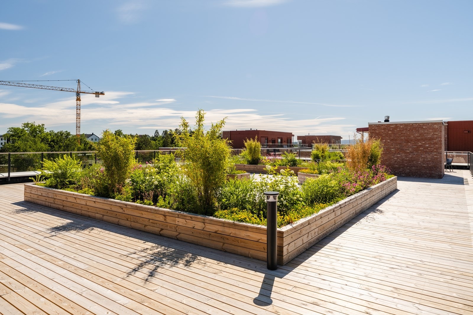 Stor, felles takterrasse med gode solforhold. Galleribilde