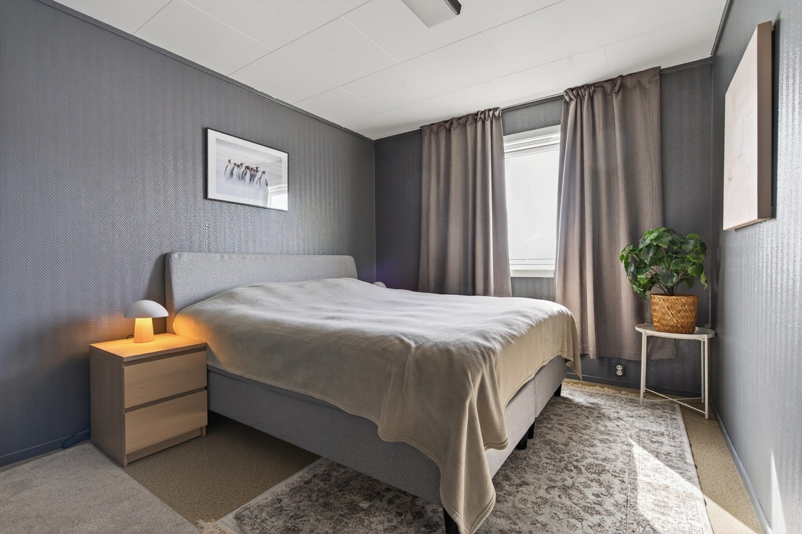 Lyst og innbydende hovedsoverom med vindu som slipper inn naturlig lys. Perfekt for avslapning og god nattesøvn. Galleribilde