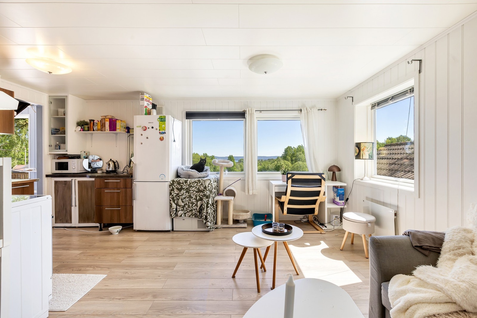 Stue / Kjøkken Galleribilde