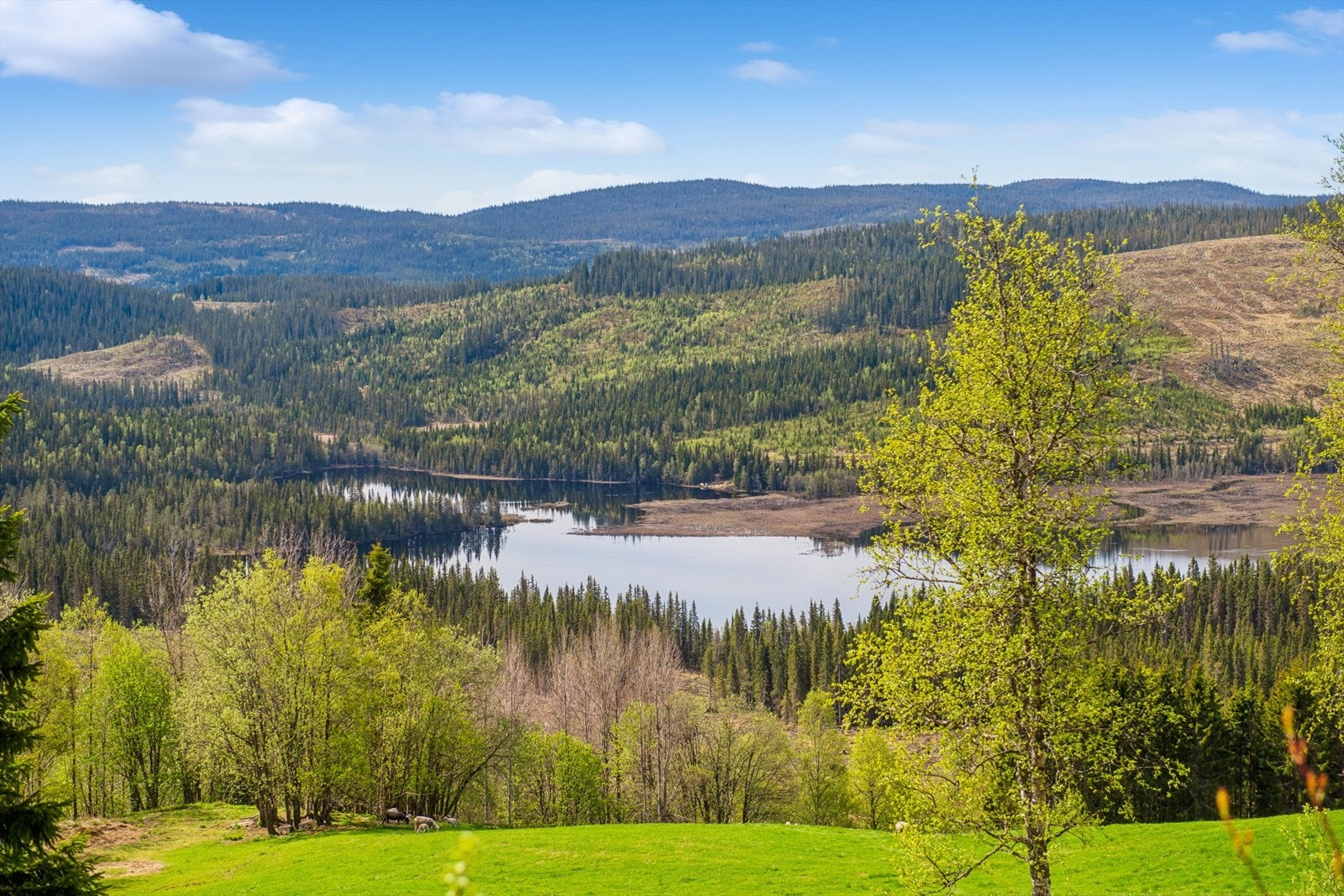 Fra eiendommen er det storslagen utsikt. Galleribilde