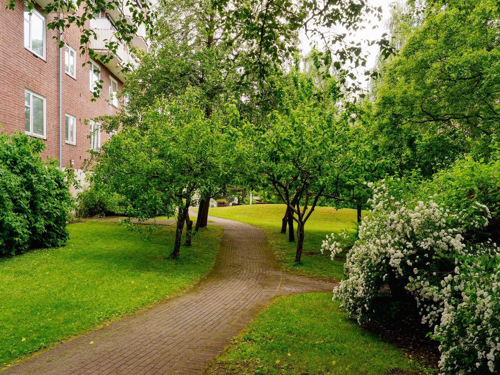 Fellesarealene er svært pent opparbeidet med gressplen, diverse beplantning, brostein og interne gangveier. Galleribilde