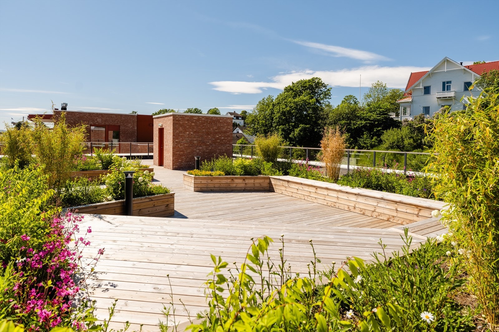 Stor, felles takterrasse med gode solforhold. Galleribilde