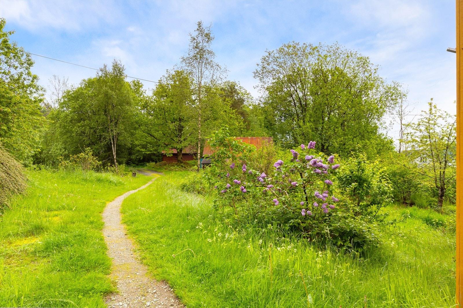 - Tomten er ellers opparbeidet med beplantning og hage med plen. Tomten fremstår som lite stelt i nyere tid, og det er blant annet viltvoksende parkslirekne i hagen. - Galleribilde