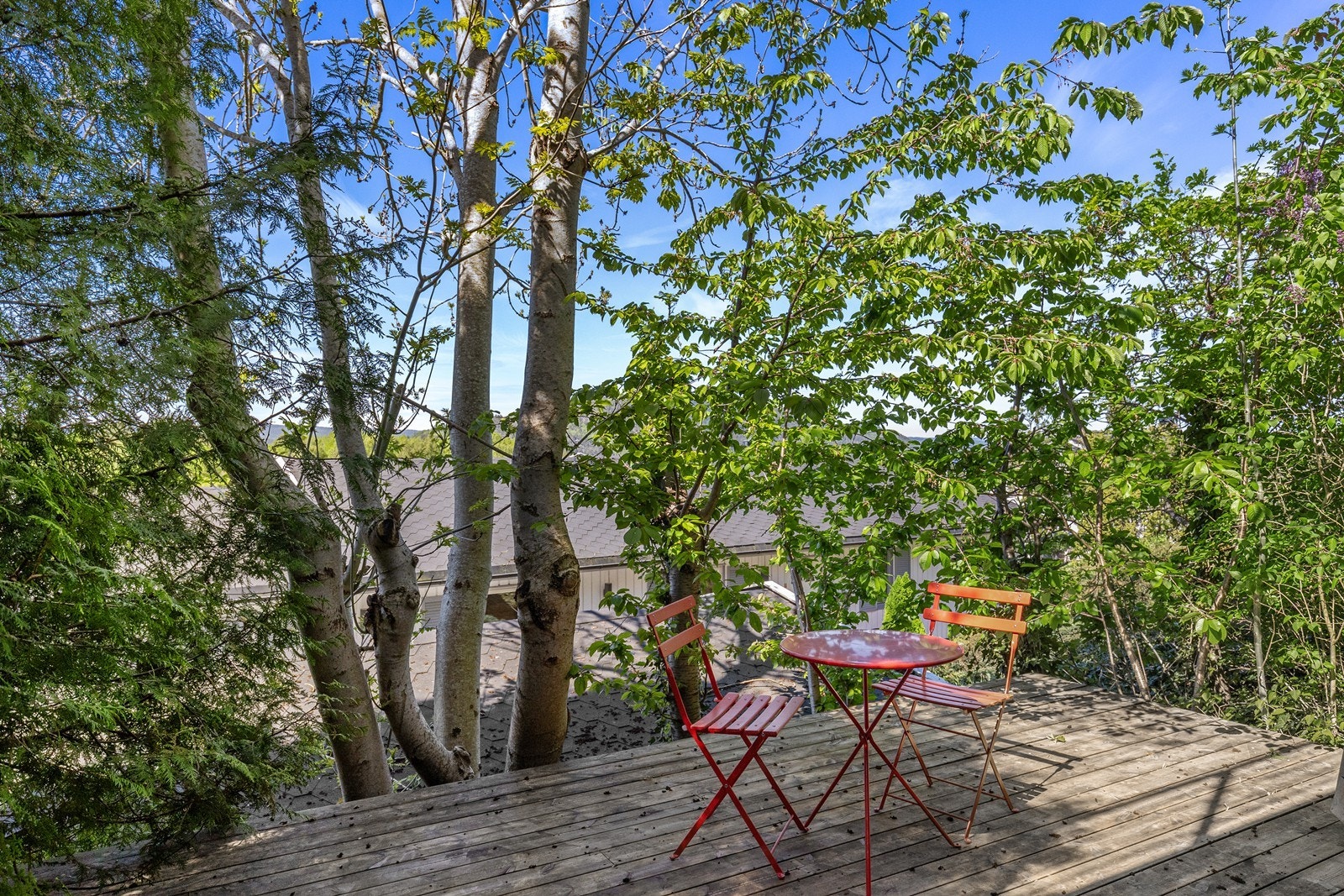 Terrasse i hagen. Galleribilde