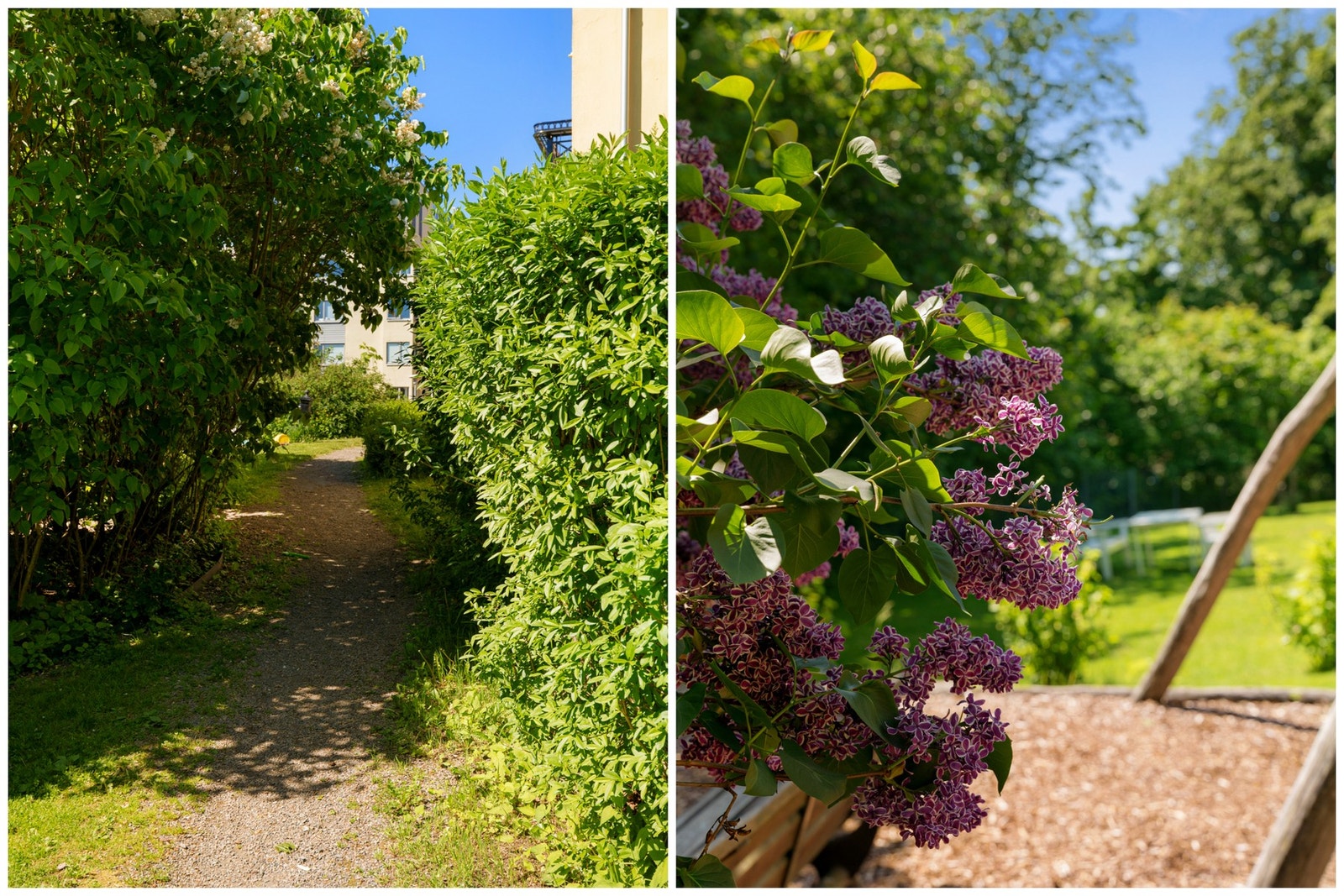 Eiendommen er pent opparbeidet og omkranset av frodig og velstelt beplantning. Galleribilde