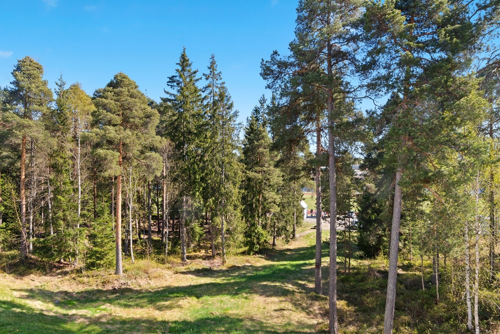 Flott utsikt mot grønn natur med en liten skog rett utenfor boligen. Sti til Skansesletta med fotballbaner, friidrettsanlegg og discgolfbane. Kort vei til Tennisbaner og Strandpromenaden. Galleribilde