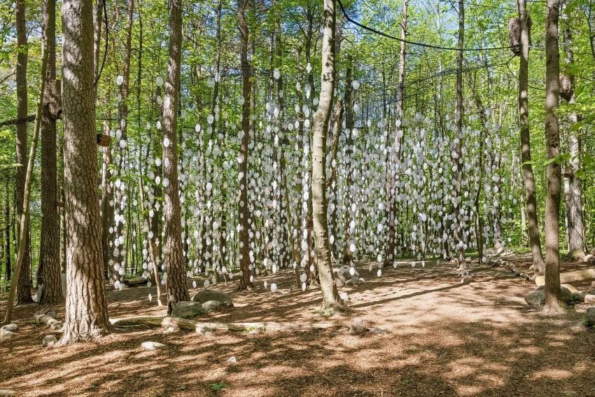 Det er kort vei til Ekebergskogen og skulpturparken. Galleribilde