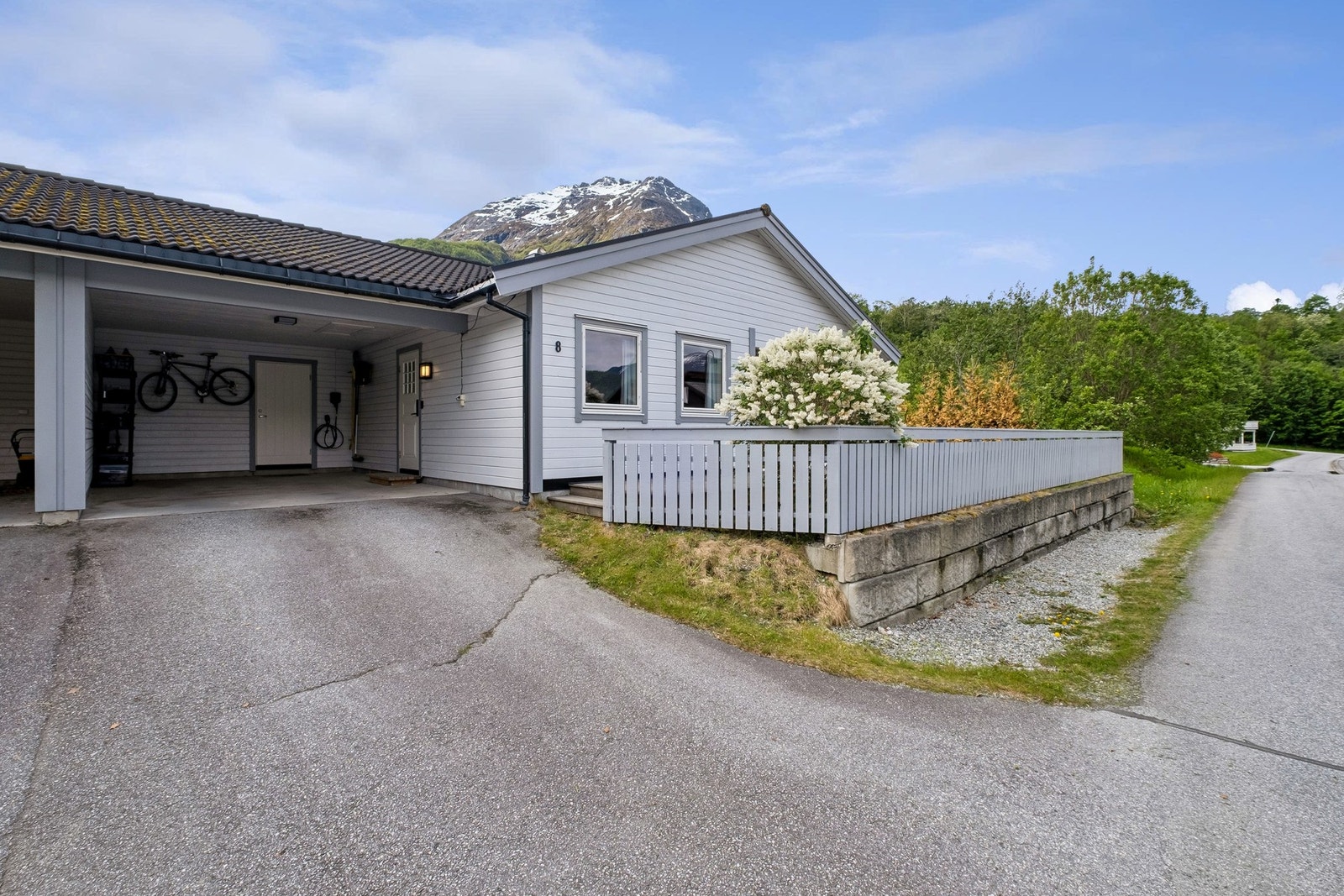 Fasade. Galleribilde