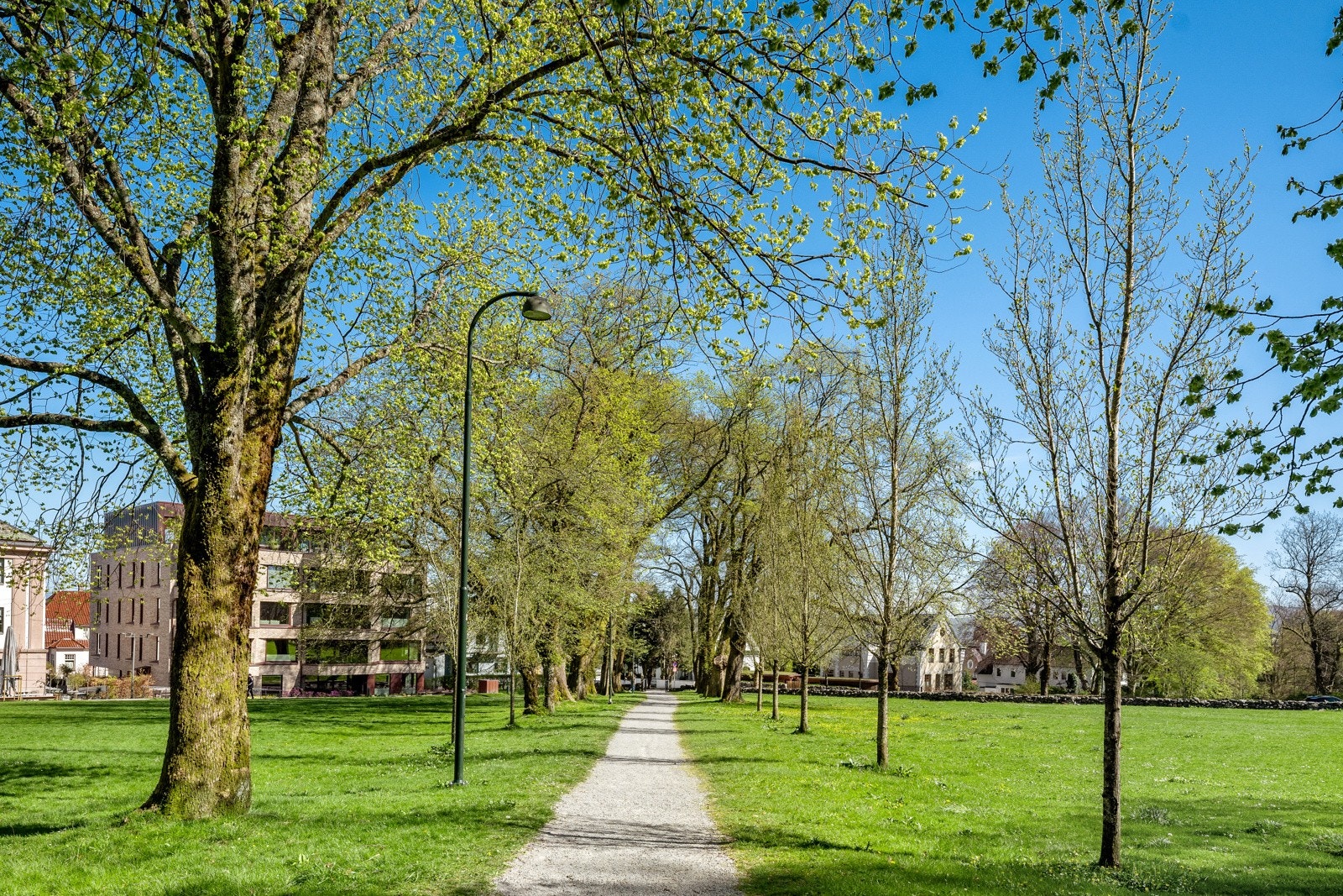 I nærområdet finner du også Ledaalsparken, Holmeegenes gården og flere koselige spisesteder. Galleribilde