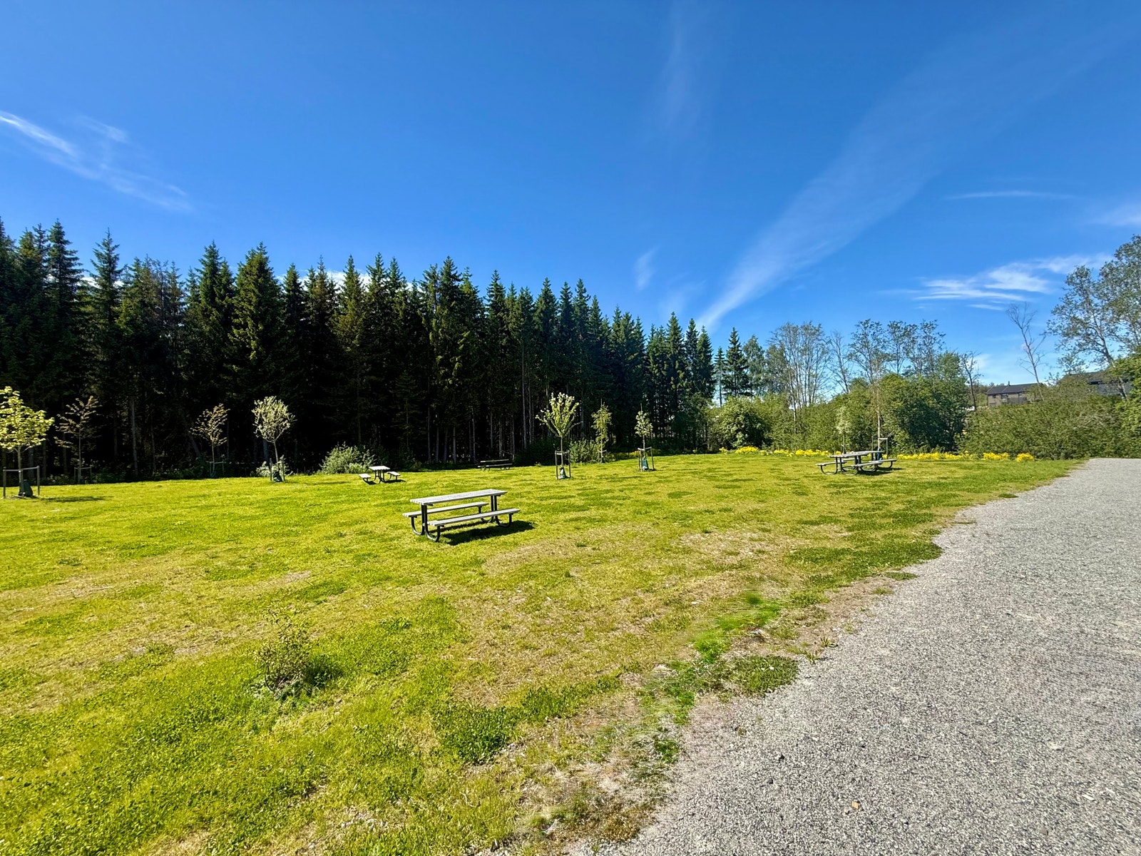 En av de mange fellesområdene på boligfeltet. Galleribilde