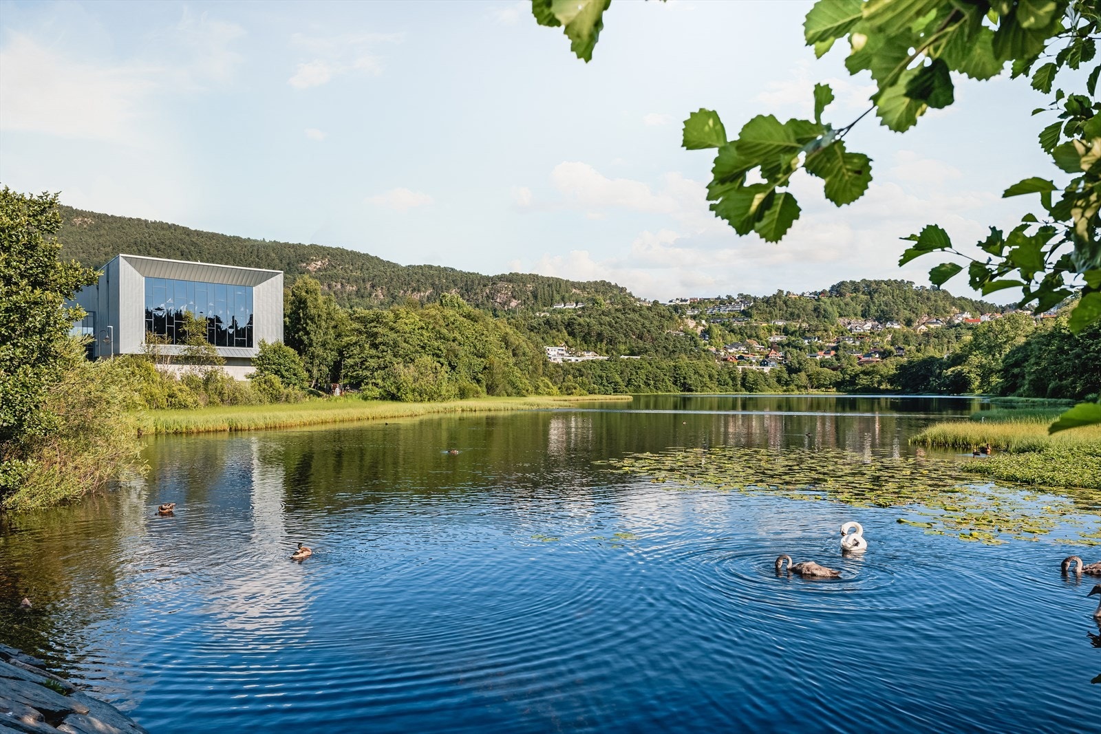 Galleribilde
