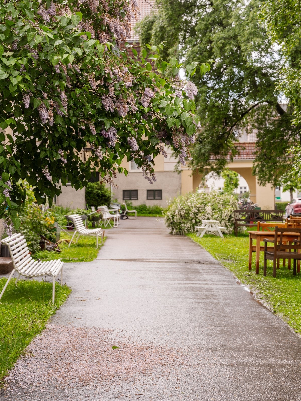Borettslaget har velholdte fellesområder med beplantning og gangstier. Galleribilde
