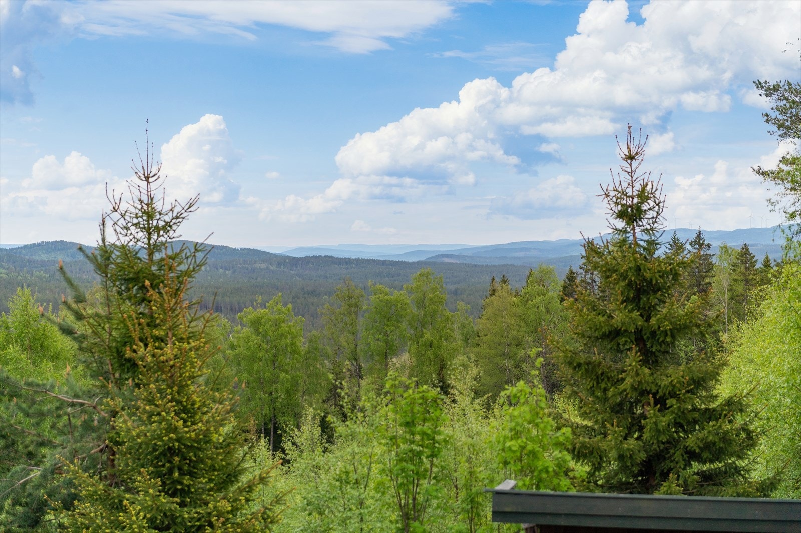 Utsikt fra terrassen. Galleribilde
