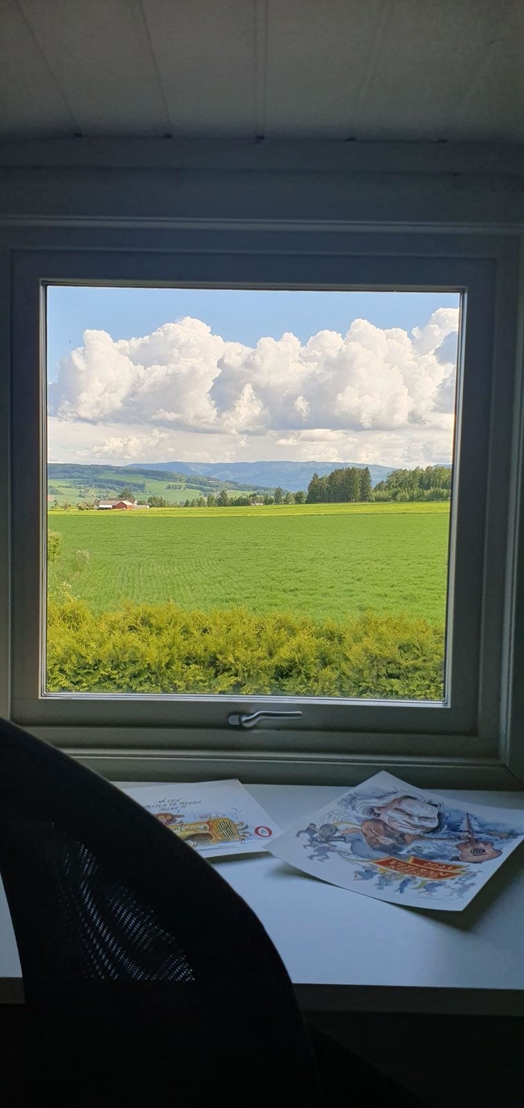 Fra hemsen i garasjen er det flott utsikt mot Helgøya. Privat bilde. Galleribilde