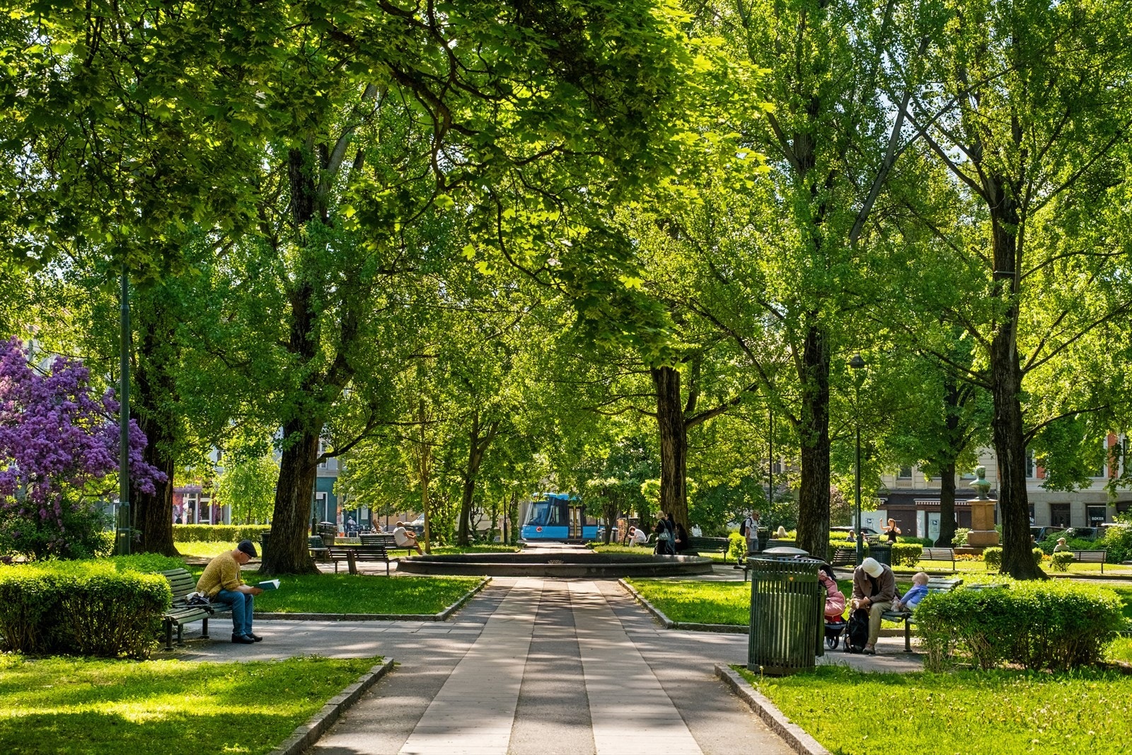 Nærområdet. Galleribilde