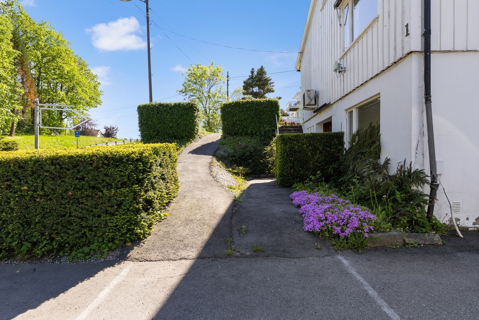 Adkomst til hage Galleribilde