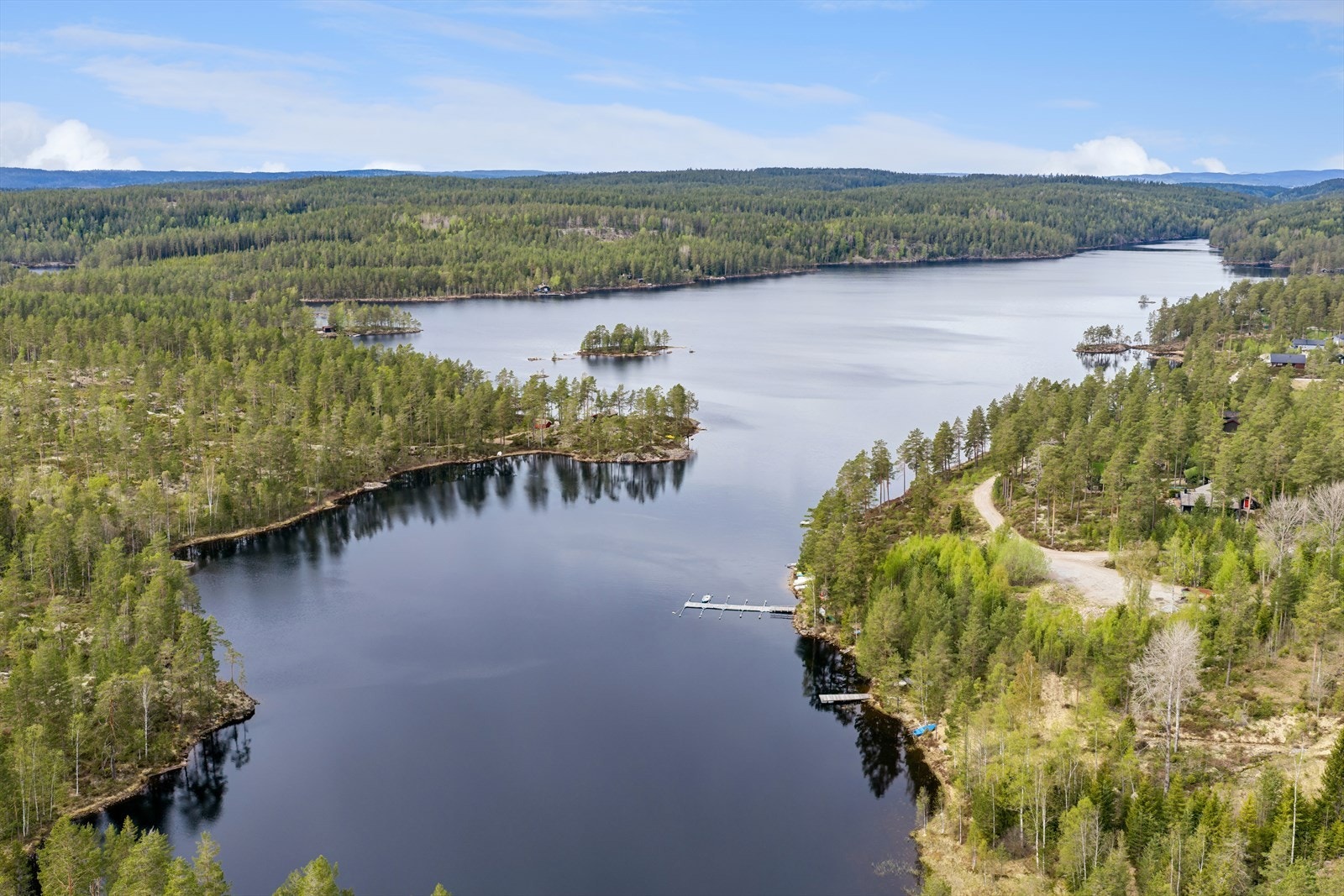 Hyttetunet har nærhet til sjøen Vortungen og Rømskog spa og resort Galleribilde