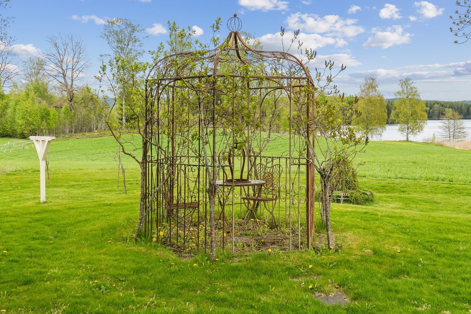 Hagemiljø Galleribilde