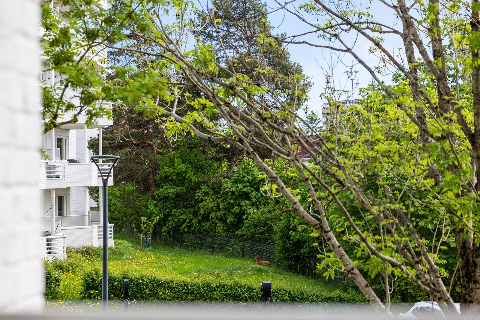 Ute Galleribilde