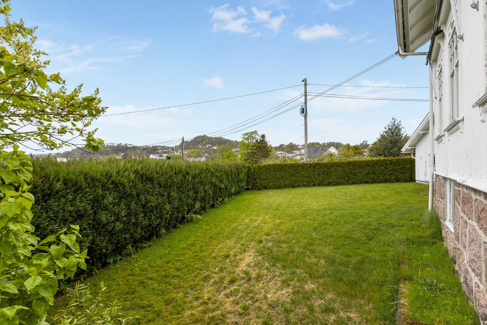 Hyggelig hage på fremsiden av huset innrammet av en vintergrønn hekk. Galleribilde