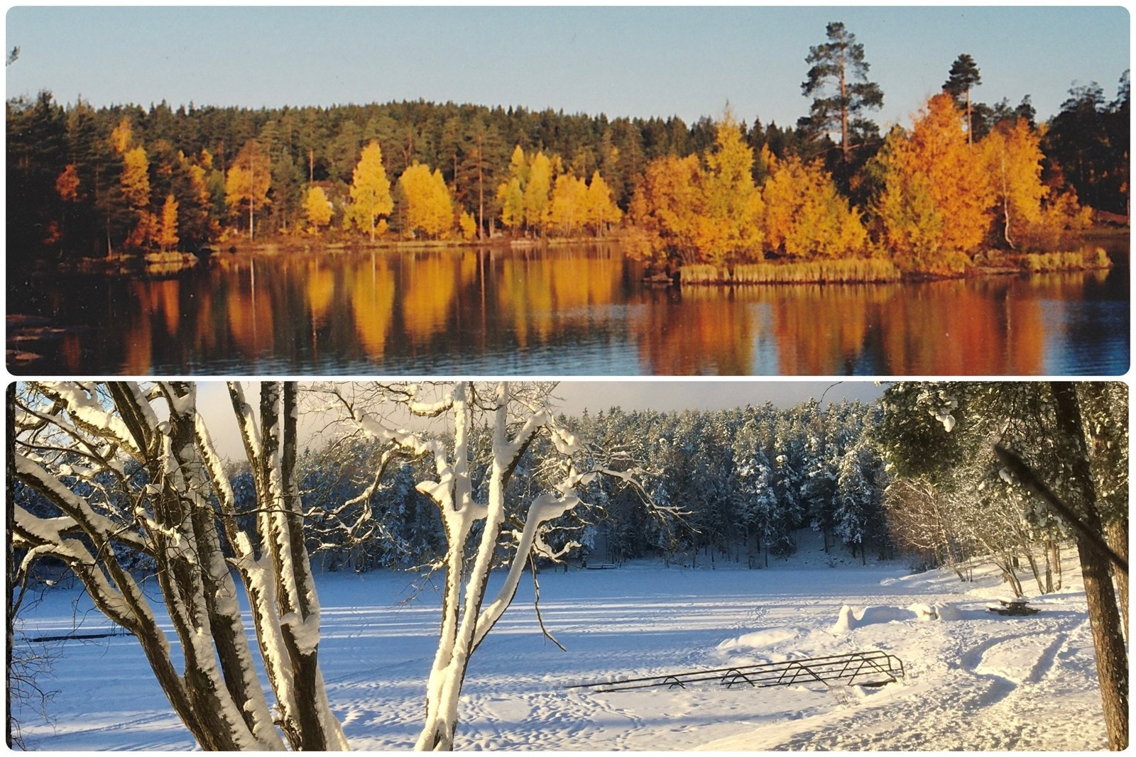Idylliske Vesletjern høst som vinter. Galleribilde