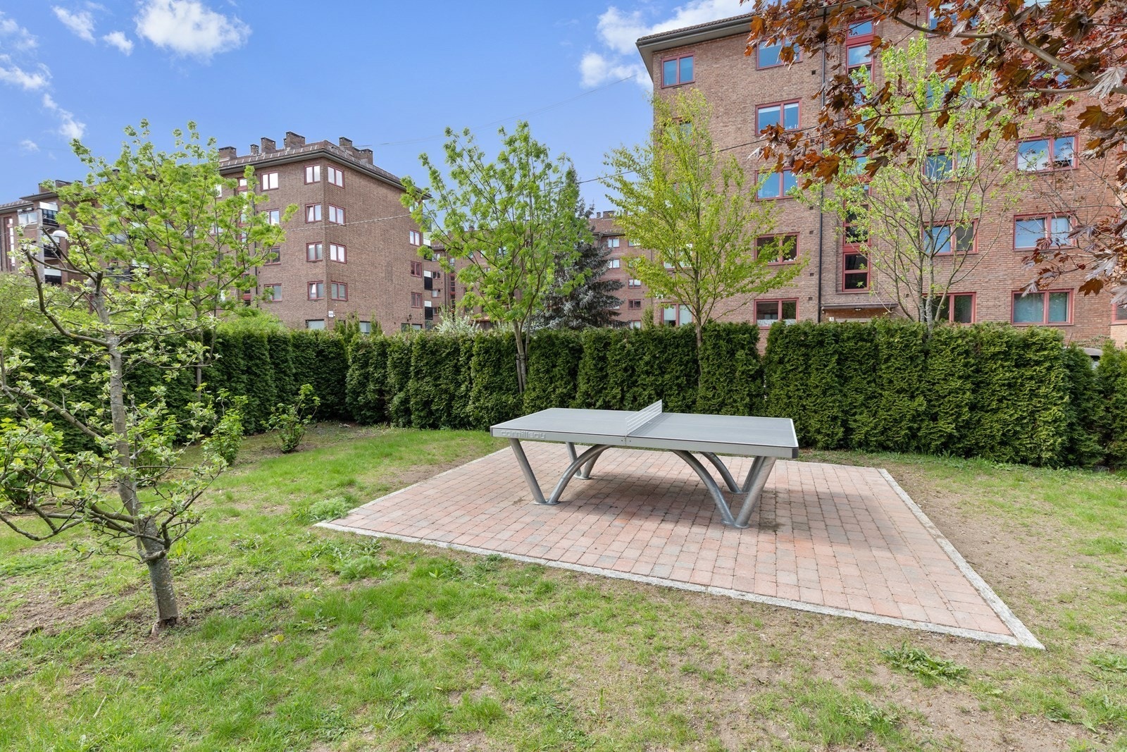 Bordtennisbord Galleribilde