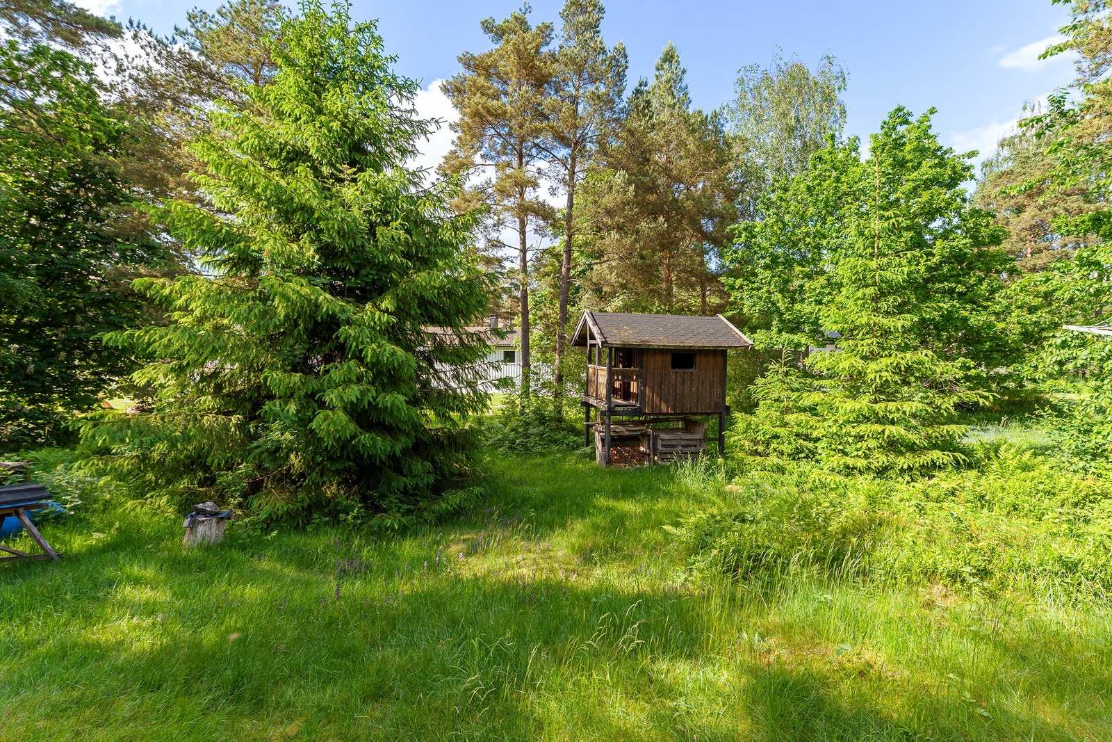 Tomten er romslig, noe opparbeidet med gressplen og beplantning, samt noe naturtomt Galleribilde