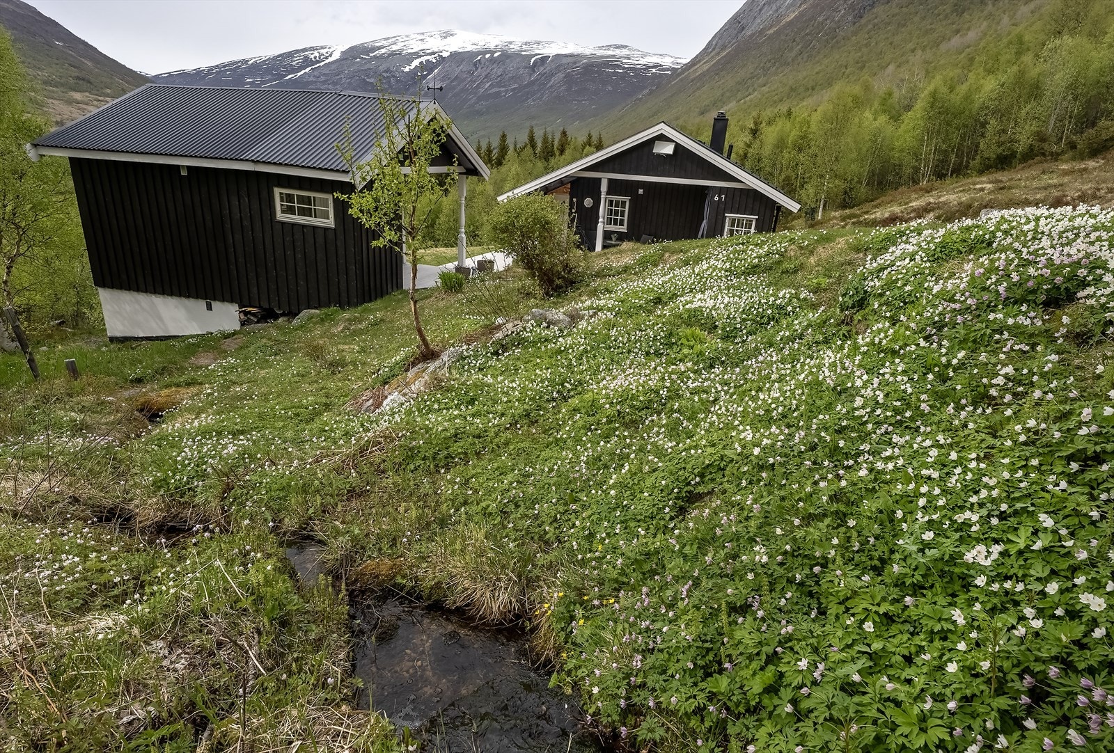Uteområde Galleribilde