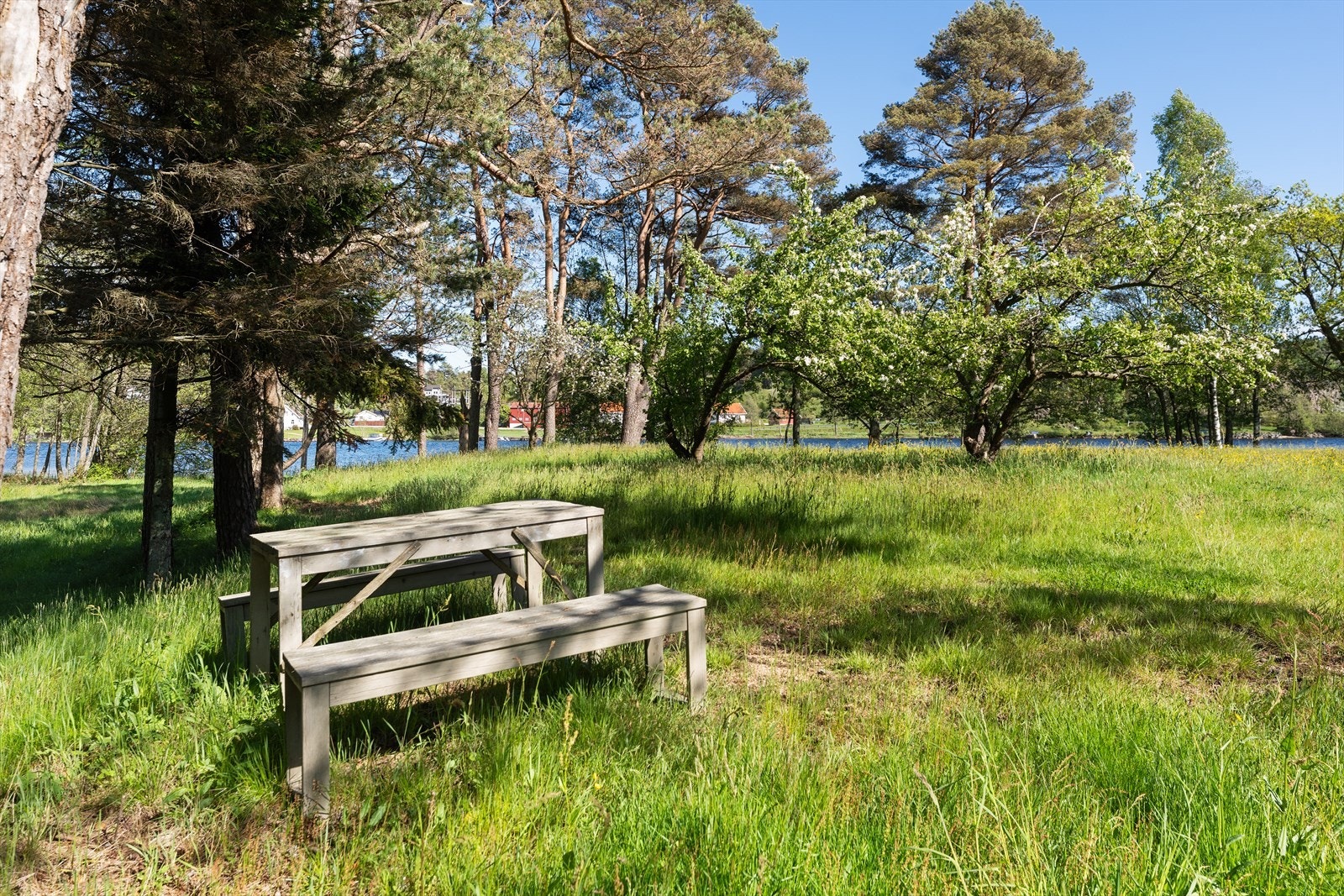 Den store hagen gir mange muligheter. Galleribilde