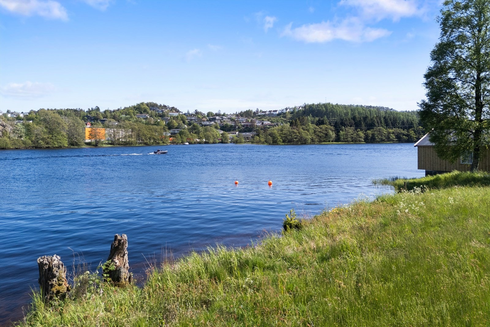 Nyt nærheten til vannet og naturen. Galleribilde
