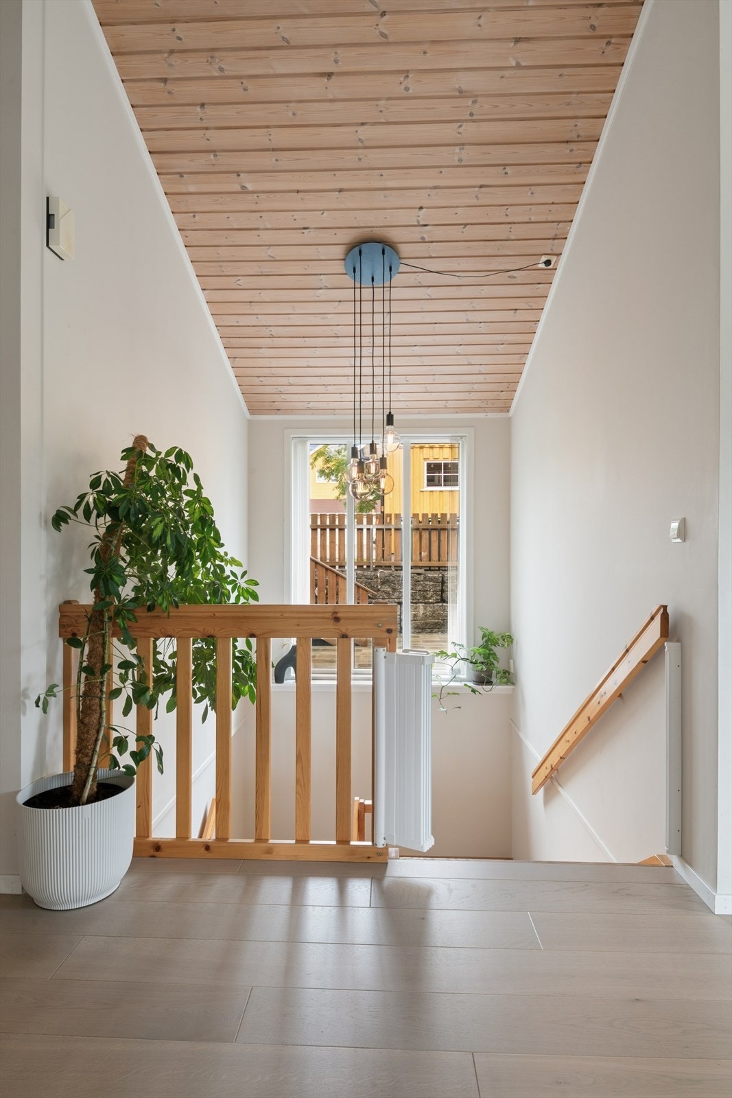 Trappegang med panelhimling og naturlig lysinnslipp. Galleribilde