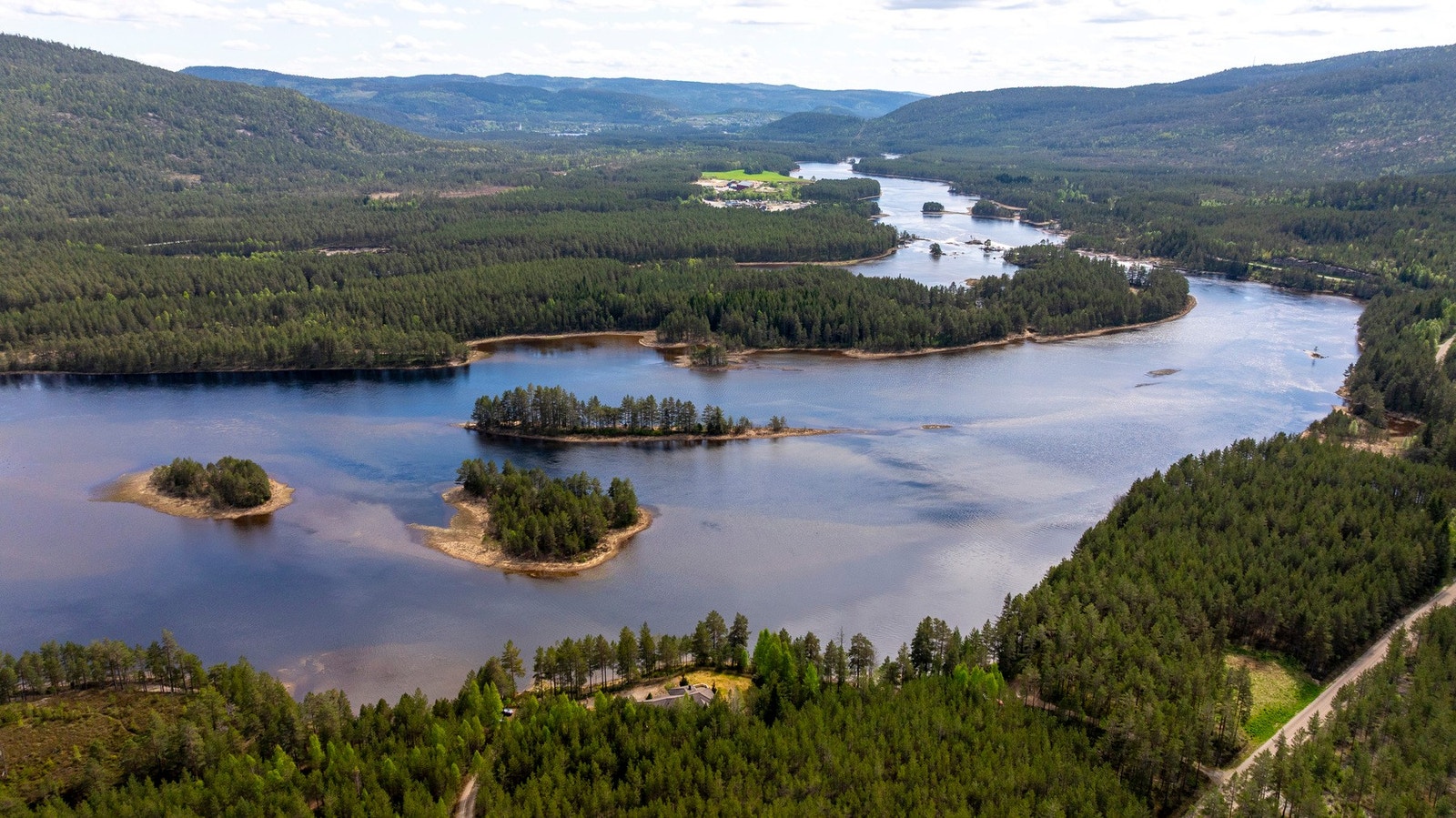 Eiendommen har ca. 2.253 dekar med produktiv skog Galleribilde
