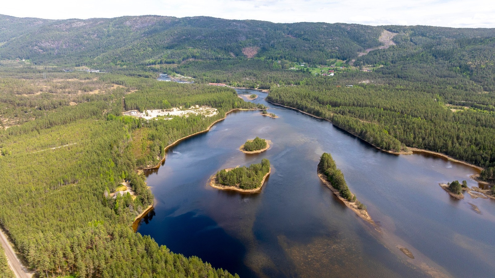 Det er antatt ca. 24.000 m3 med stående skog på eiendommen Galleribilde