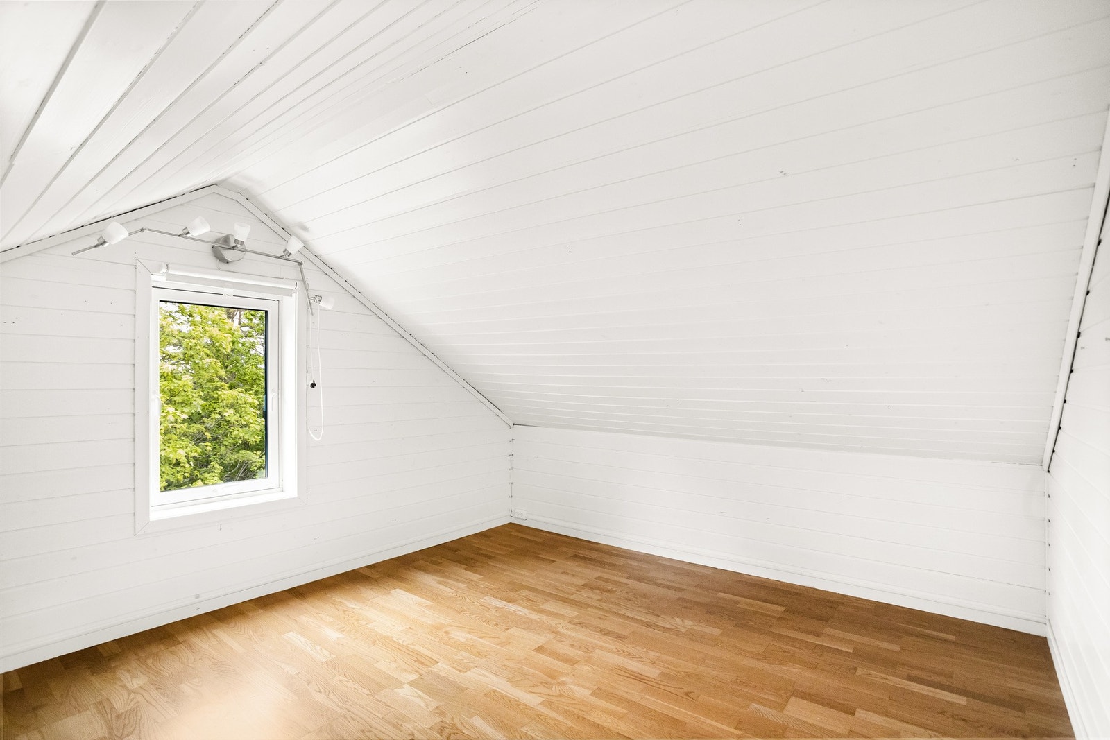 P Galleribilde