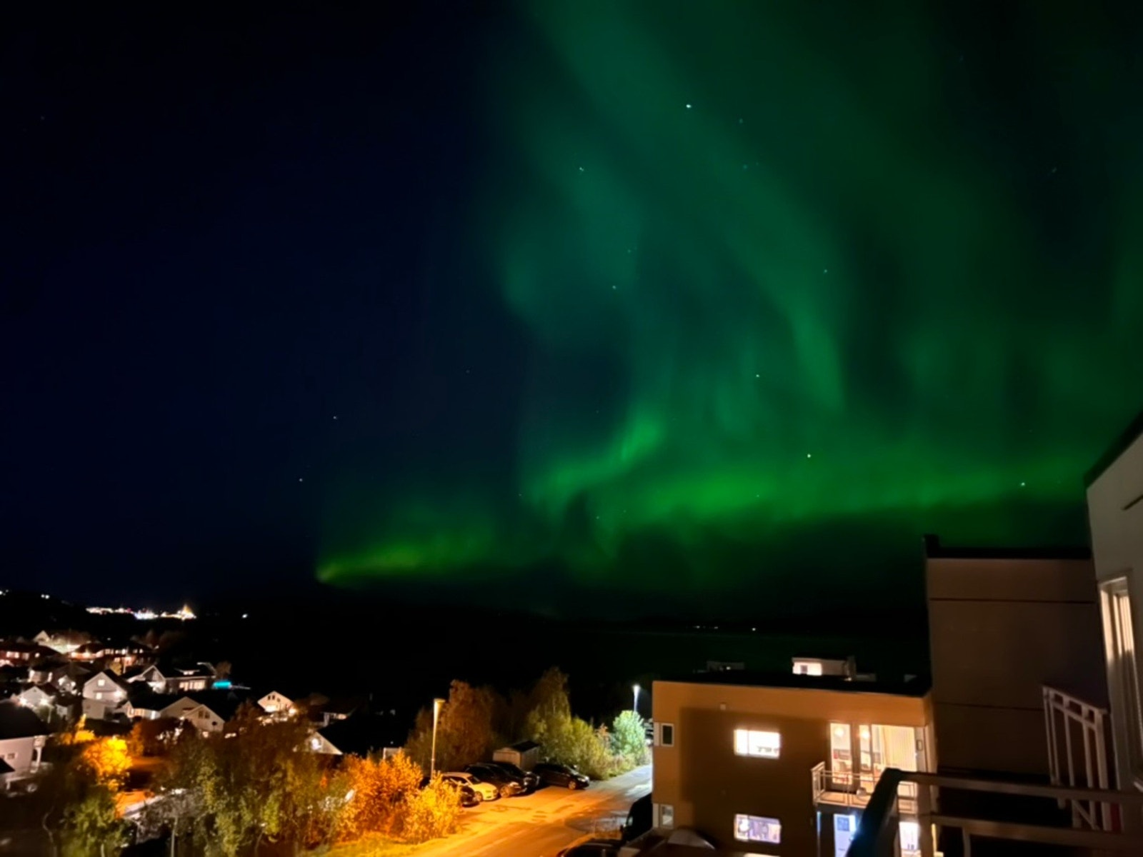 Selgers eget bilde Galleribilde