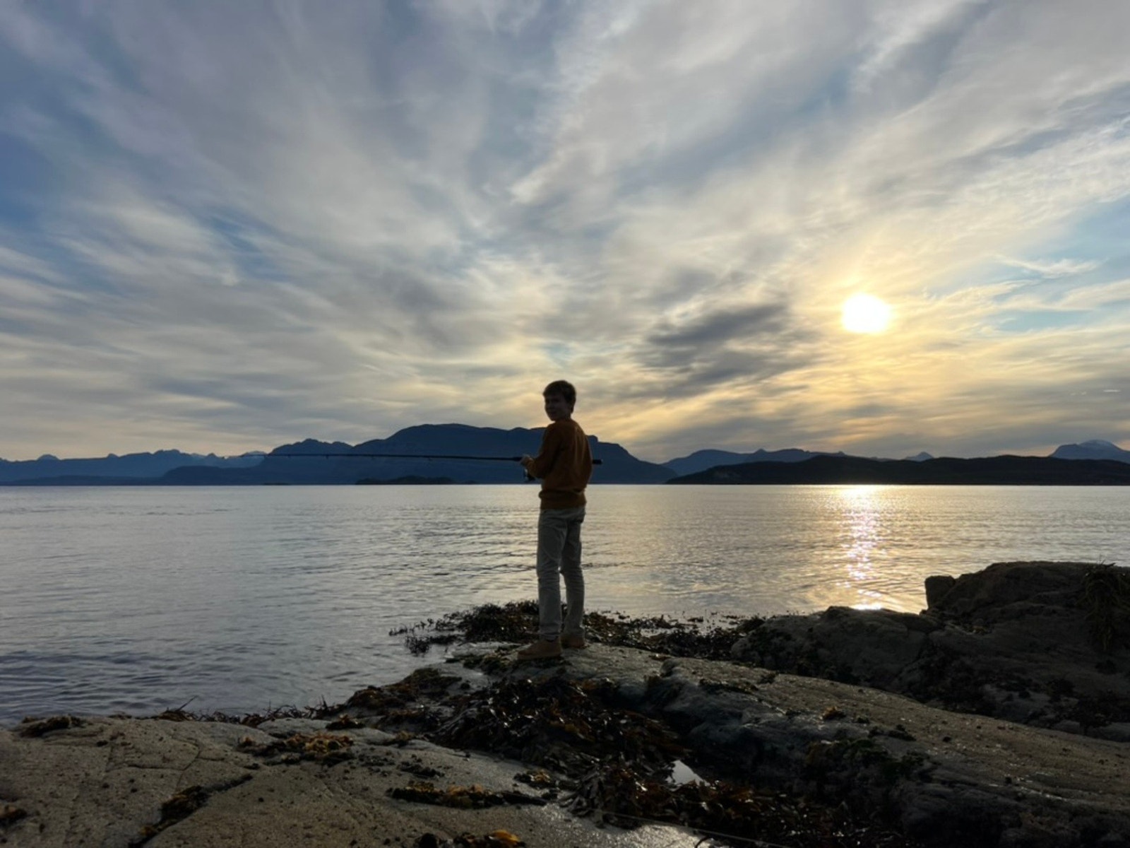 Selgers eget bilde Galleribilde